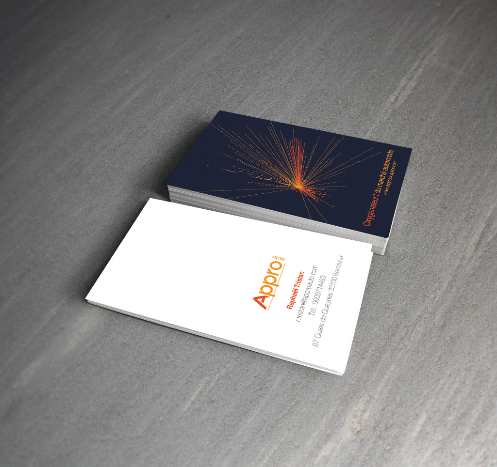 Territoire graphique et identité visuelle de APPRO AUTO réalisés par l'agence de marque ELEM NT