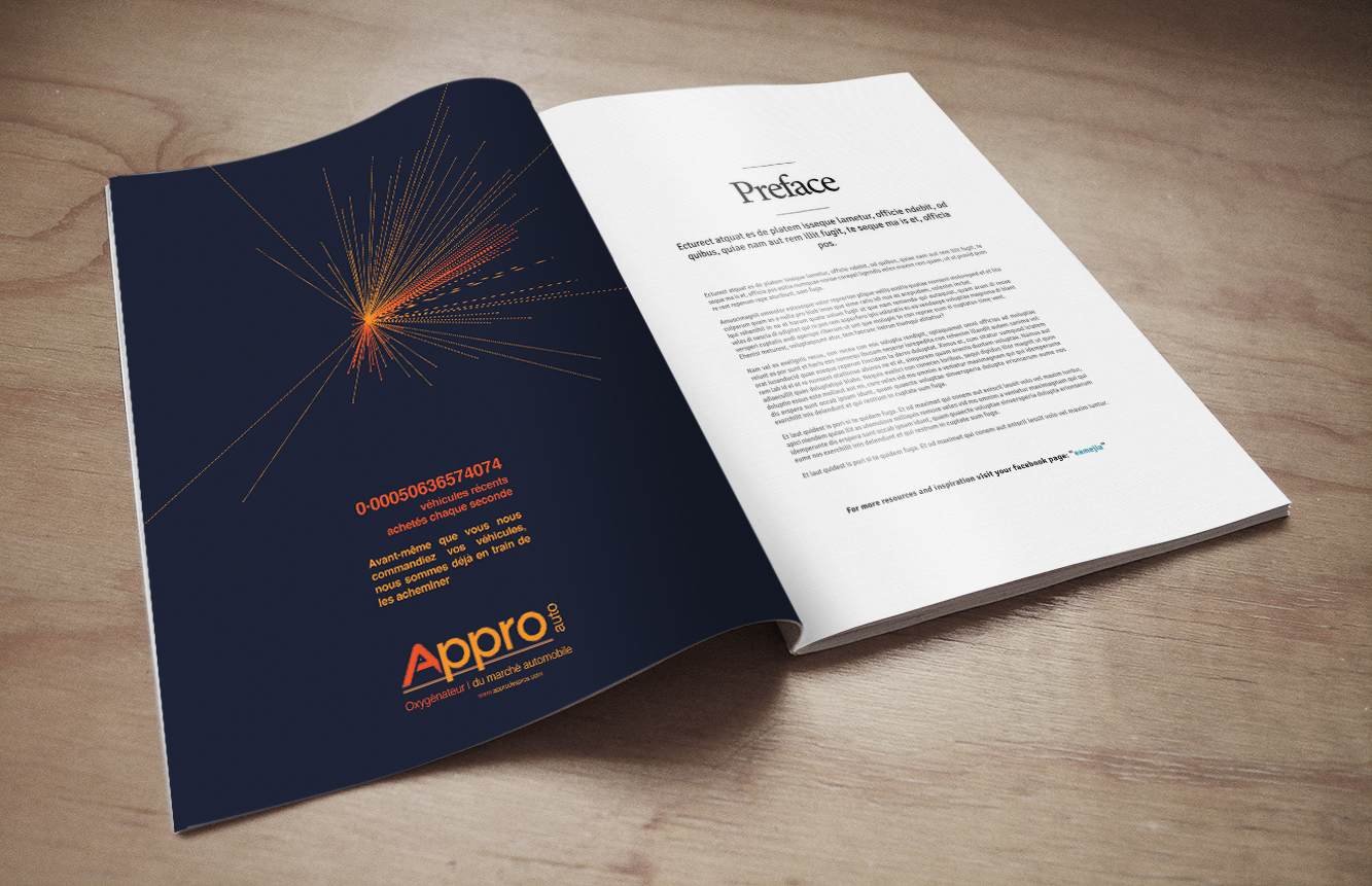 Campagne presse APPRO AUTO réalisée par l'agence de marque ELEM NT