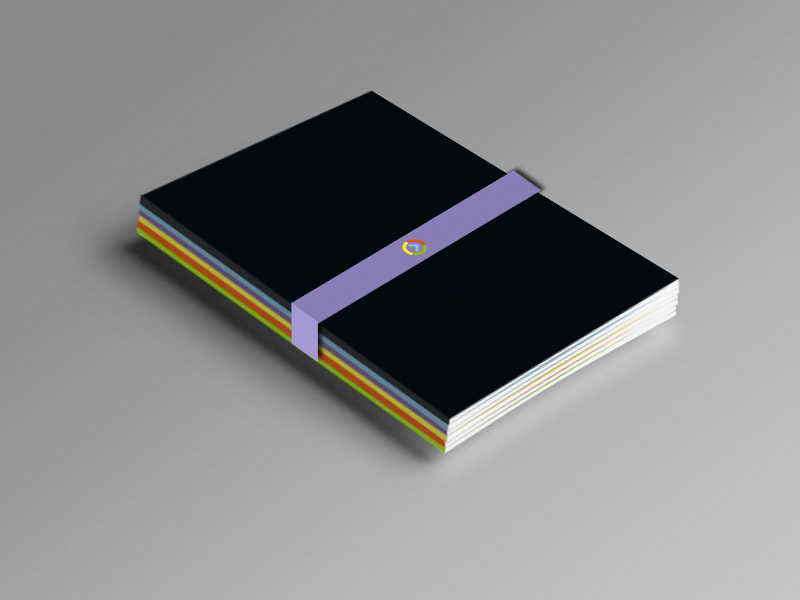 Projet d'édition et de data visualisation réalisé par l'agence de communication bordelaise ELEM NT