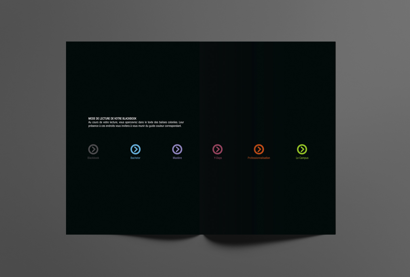 agence elemnt creation 13