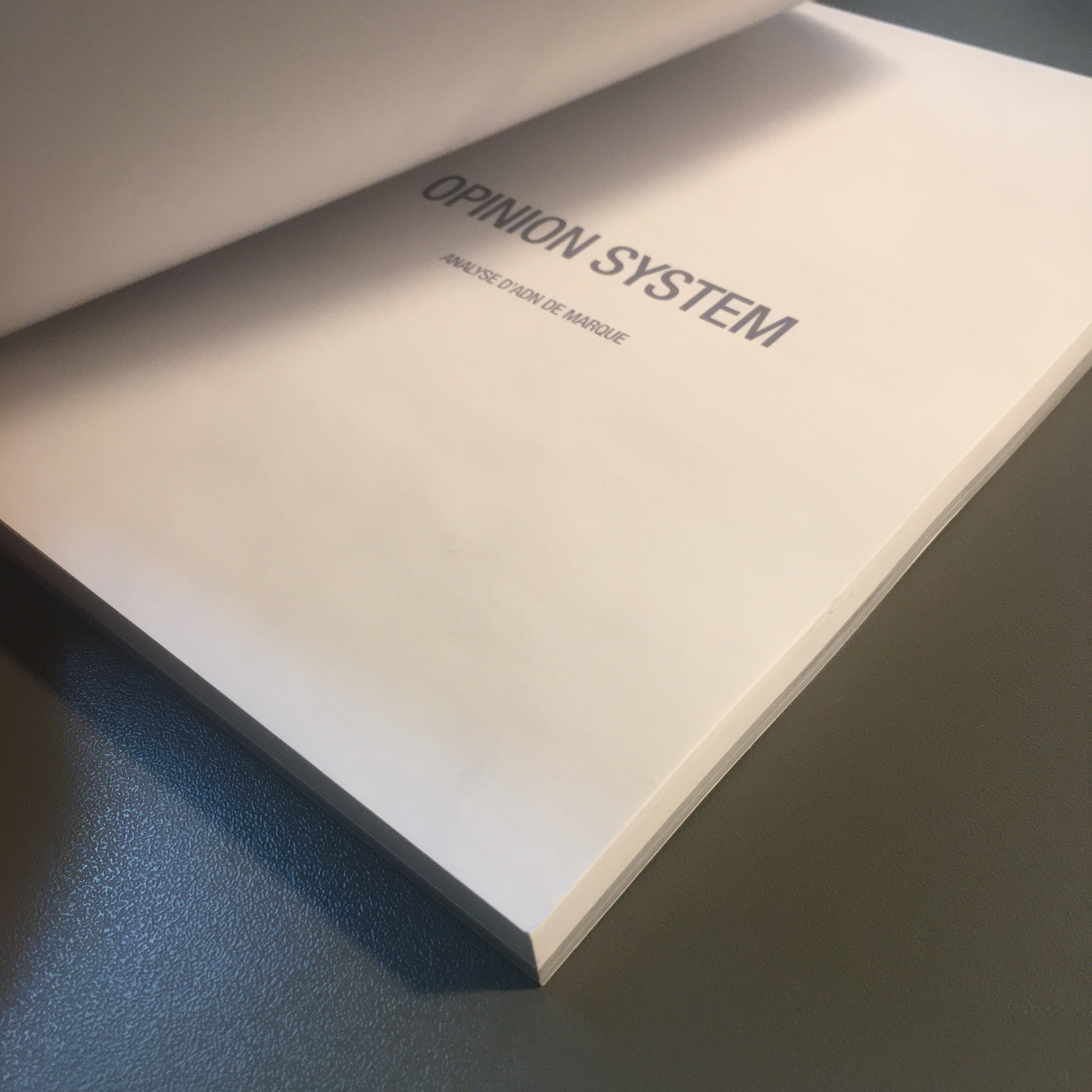 adn de marque book ouvert